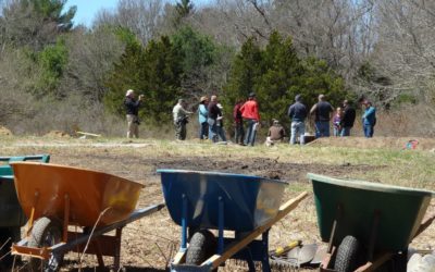 Mill Pond Conservation Area Planting