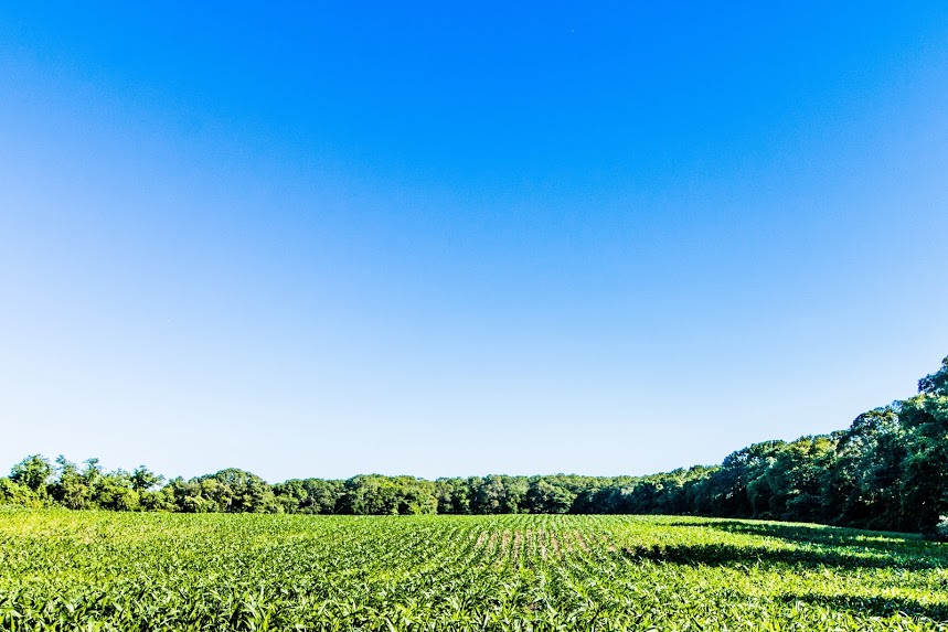 Westport Land Conservation Trust