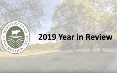 WLCT 2019 Year in Review