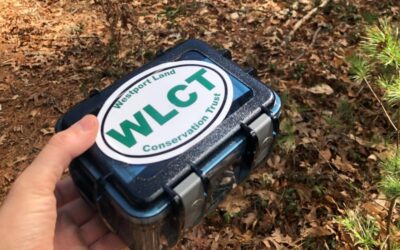 Exploration Time: Geocache at wlct