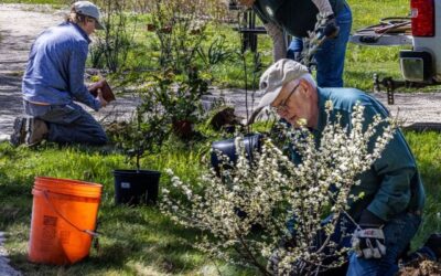 Gardening for Conservation Education