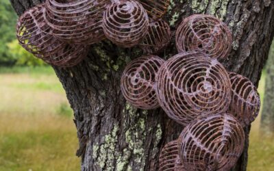 Westport Woods Art Walk