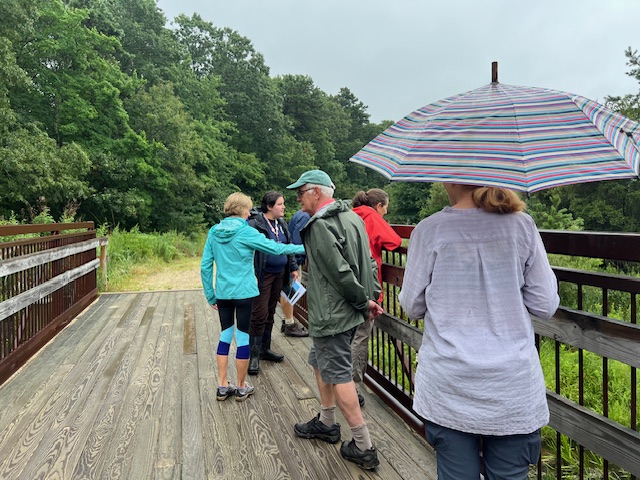 several people on a wooden bridge with green trees. A woman with an umbrella has her back to the camera, a few women in rain gear point to something off the bridge, a man in raincoat and ballcap looks in the other direction.