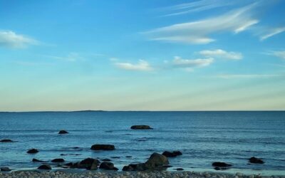 Autumn South Coast Stroll: East Beach