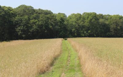 Fall Stewardship Forum