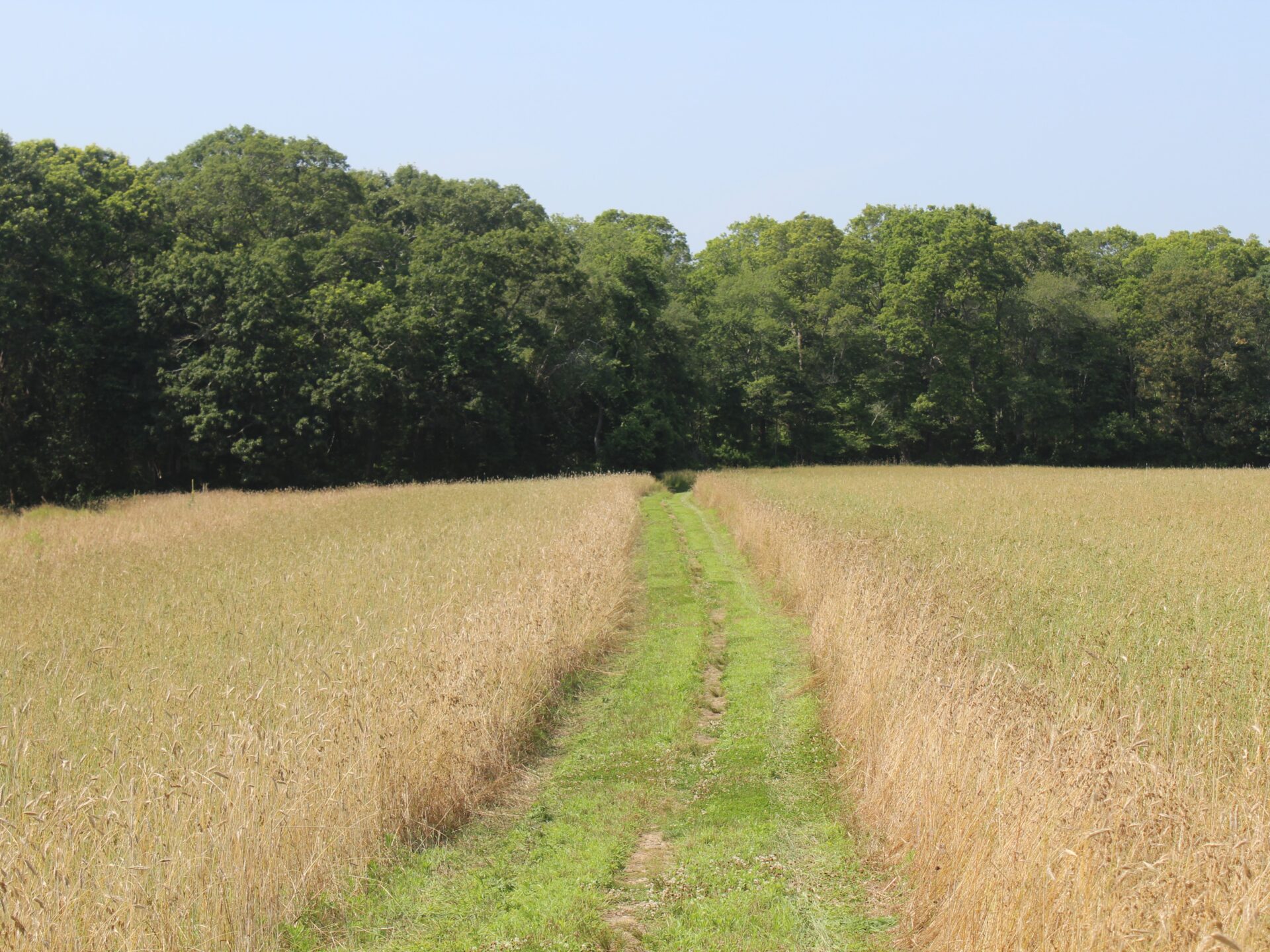 Fall Stewardship Forum