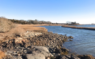 New Year’s Day Walk at the Let