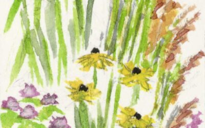 Wildlife Forage and Meadow Mix Seeds