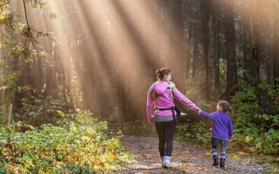Family Walk: Exploring Westport Woods