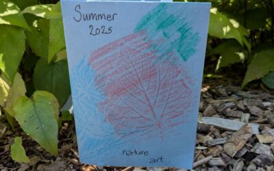 Children’s Nature Art Workshop