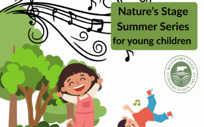 Connecting to the Outdoors with Music