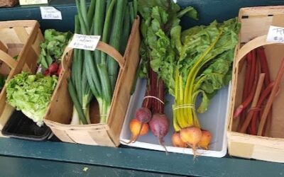 Member Appreciation Program: Meet Your Farmer, Andrew Orr