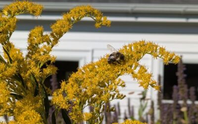Clues to The Changing Season