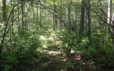 Collaboration Across State Lines