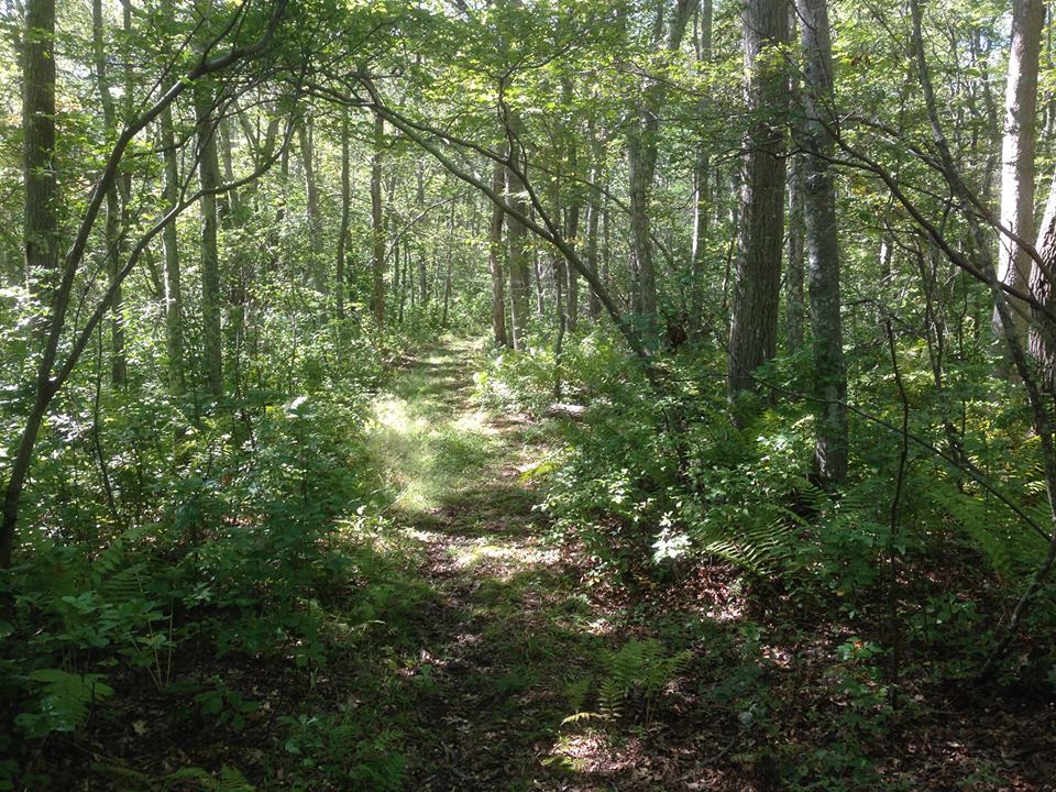 Collaboration Across State Lines