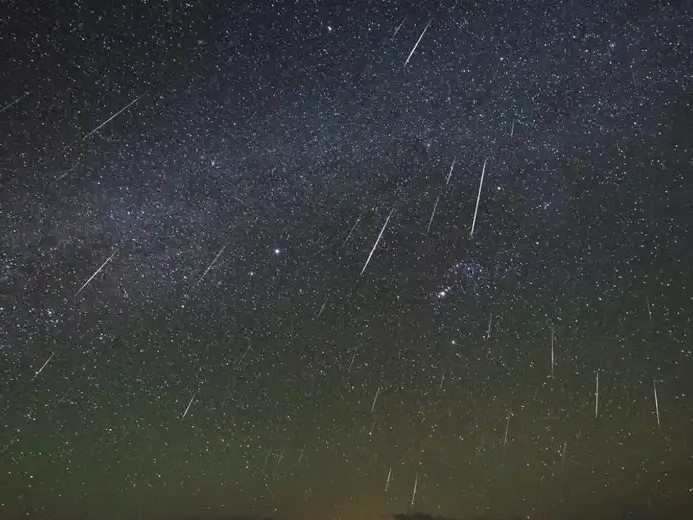 Observing the Skies: The Geminids