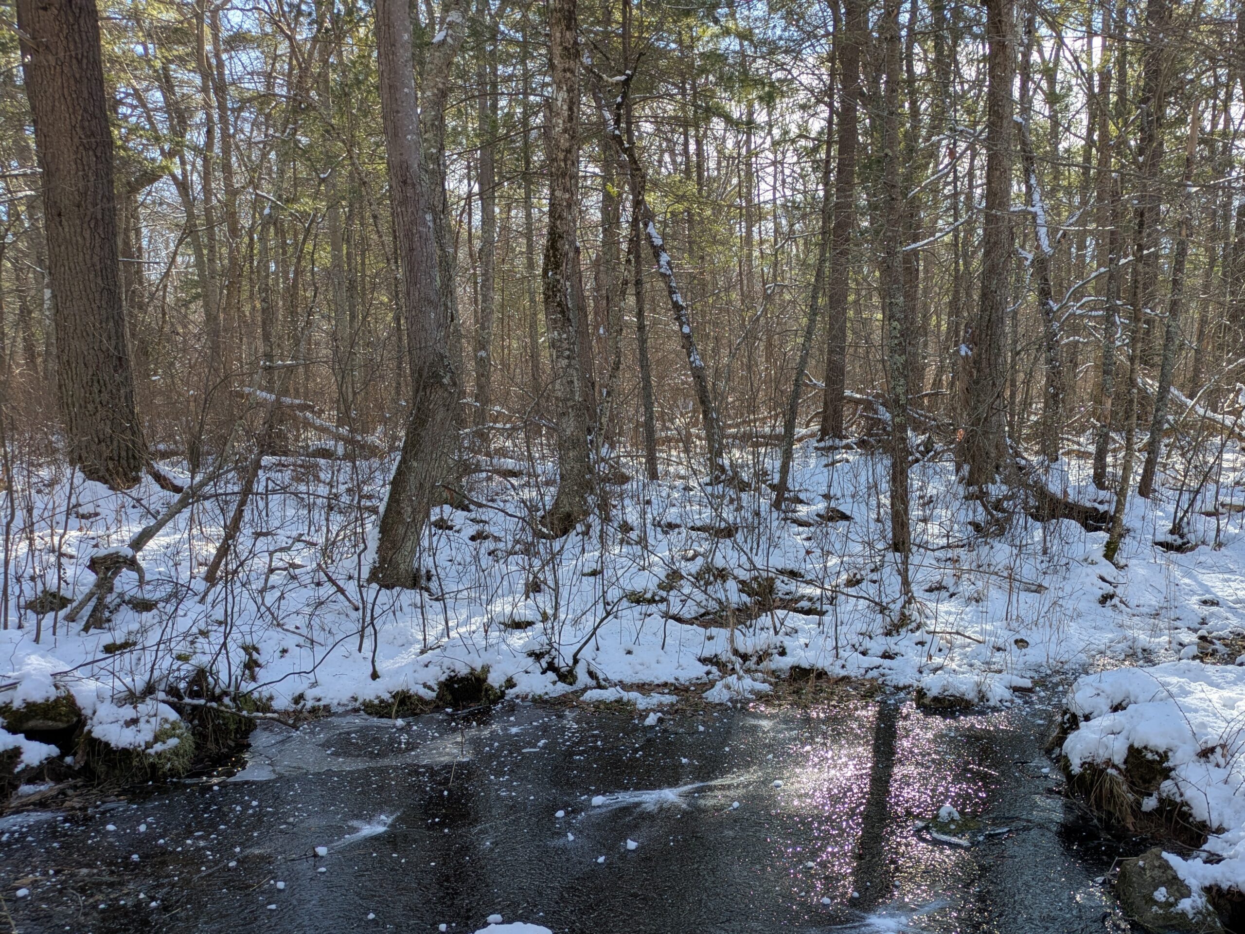Corridors for Stories