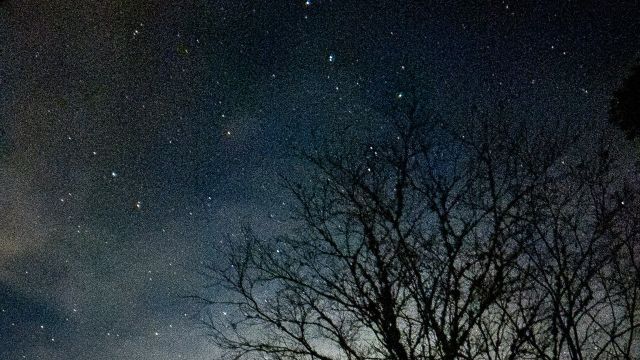 Wintertime Stargazing at Westport Woods