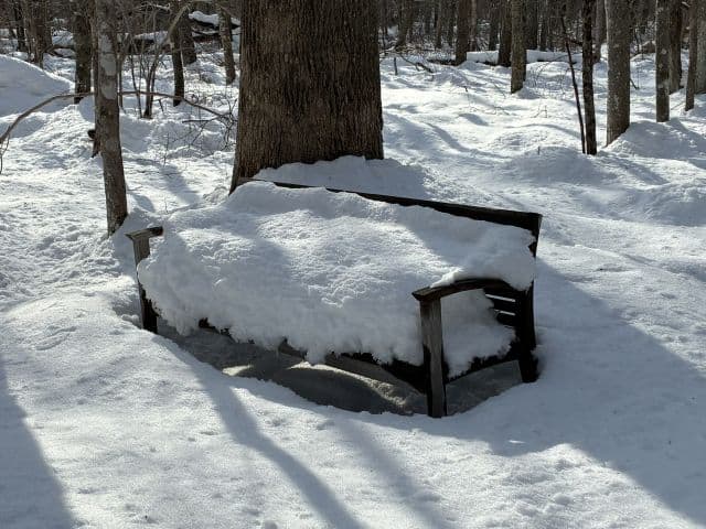 What Snow Does for the Land