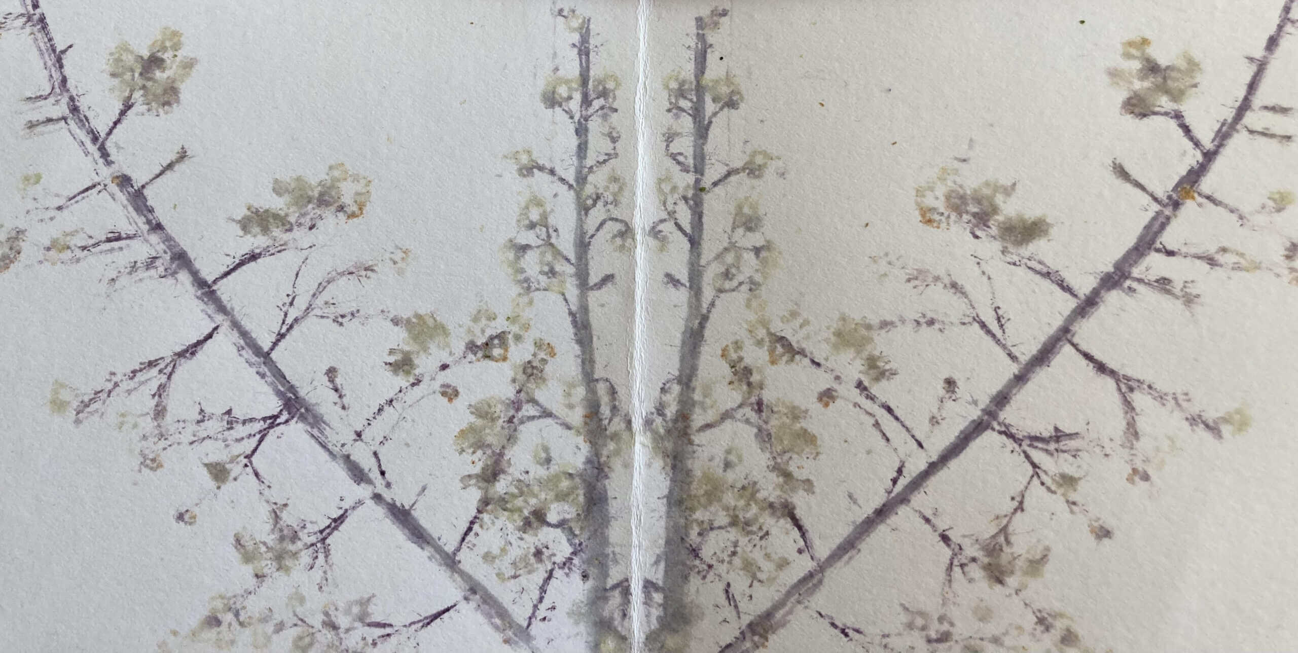 Children’s Nature Art Workshop