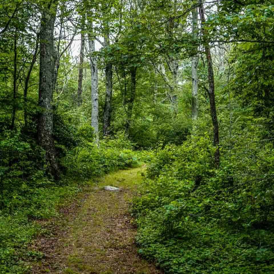 Trail Placement starts with habitat