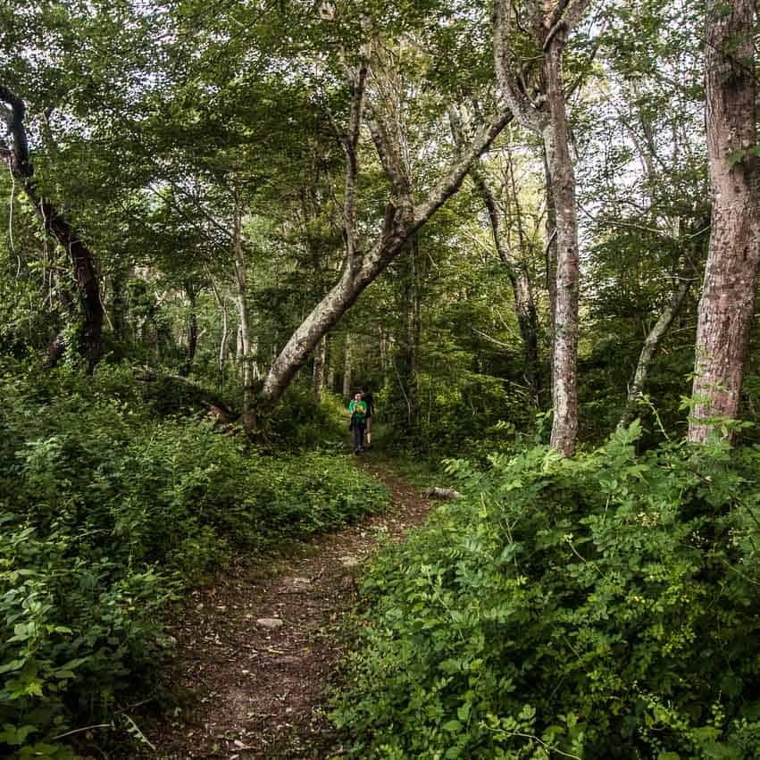 Social Hike at Dunham’s Brook
