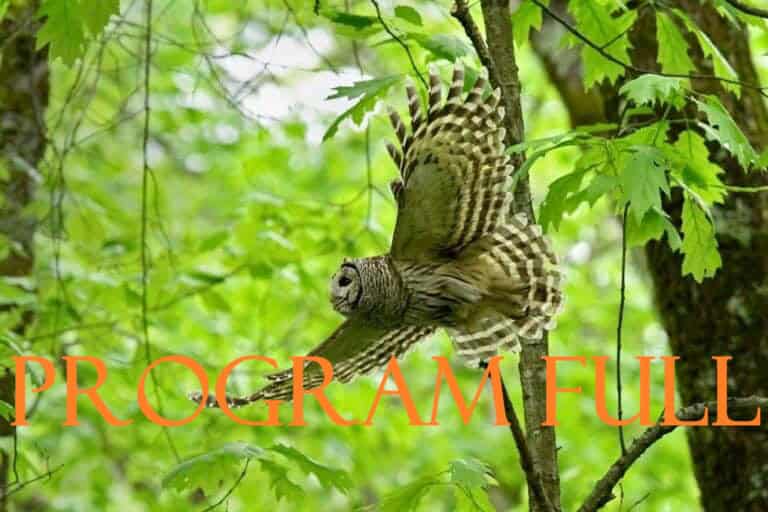 Owl Prowl at Herb Hadfield