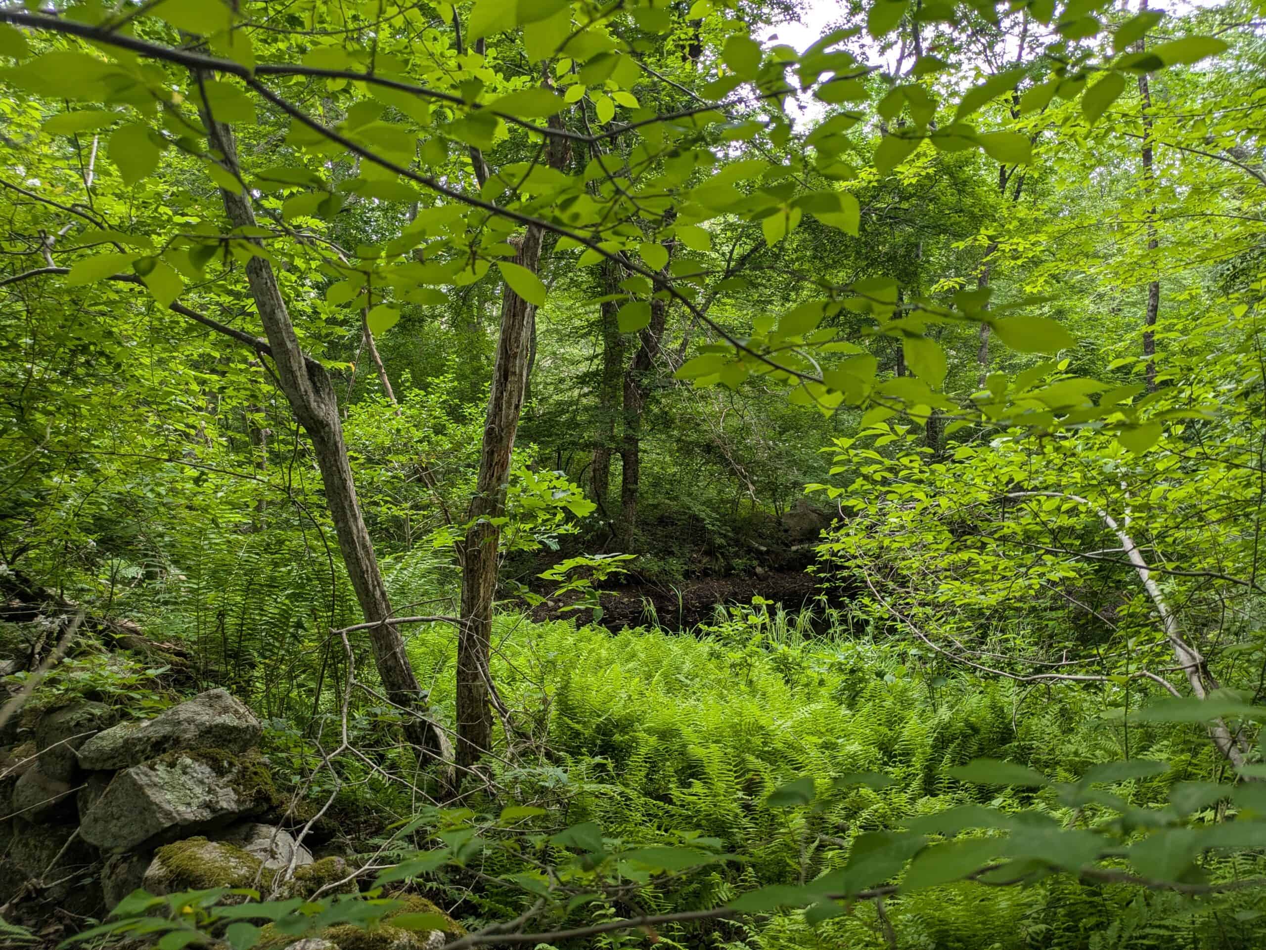 Preserve Peaceful Acres