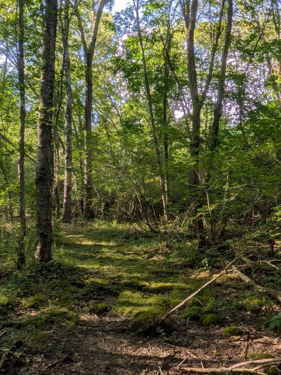 State Awards Grant for Peaceful Acres