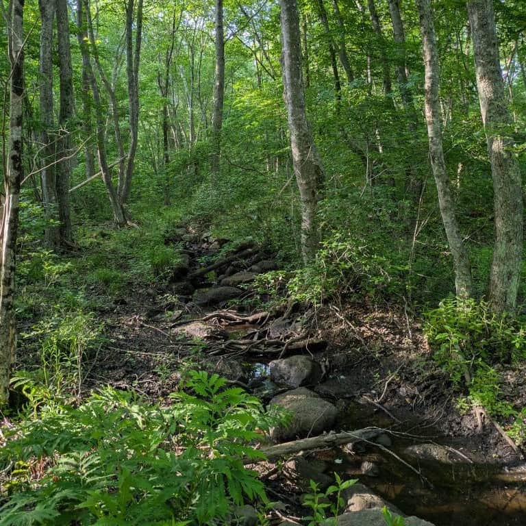 Snell Creek Conservation Area Opens